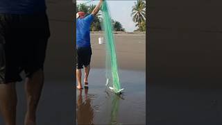 eso es Pablo  telos acabaste son pescados muy grandes 🐠🐟🐟🐟
