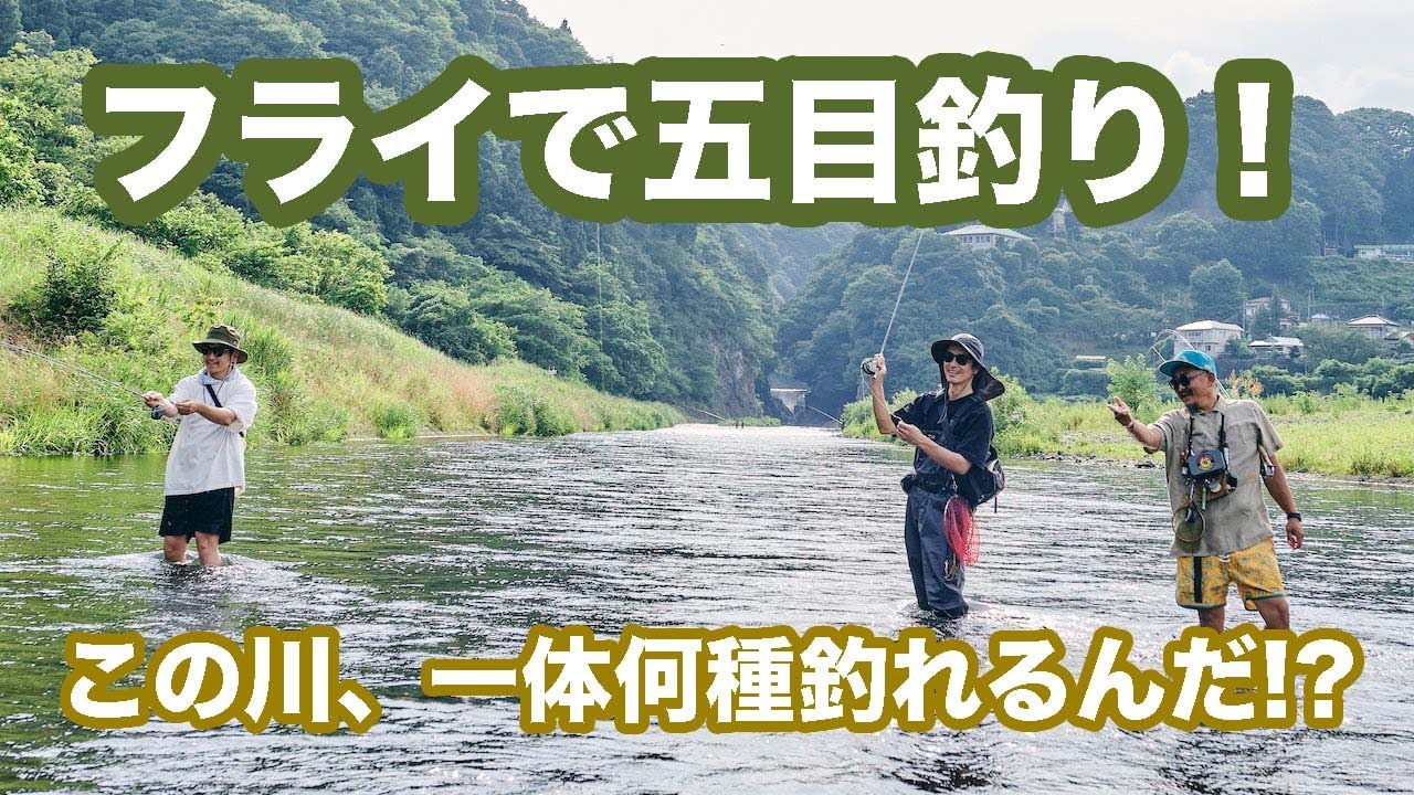 大きめオイカワ狙いで五目達成！フライ初心者も必見！