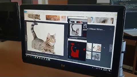 FCN Realtime Segmentation