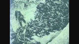 Beyond Ye Grave - Genocide Celebration