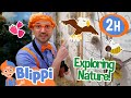 Blippi&#39;s Wonderful Nature Exploration! | Animals for Kids | Funny Cartoons | Learn about Animals