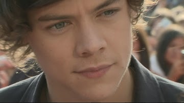 Harry Styles and Taylor Swift break up: A look back at the 65 day romance
