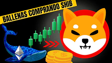 ¿Por qué las ballenas de Ethereum compran Shiba Inu?