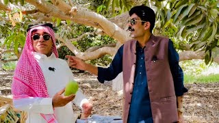 Fruits ka sardar agaya😂😂 | Funny video | Asghar khoso | Ali gul mallah