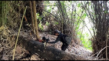 6 Hari nginap dirumah pohon & berburu ayam hutan Sulawesi digunung🤤 #KOOKIKO