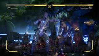 Nerf geras