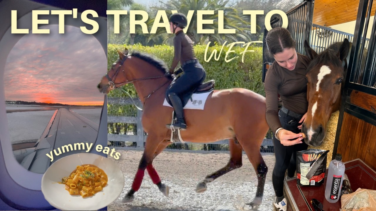 Видеоблог WEF #8: верховая езда на новой лошади + прыжки через препятствия в Лондоне!