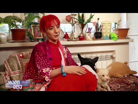 #ახალიდღე როგორ ავიმაღლოთ პანდემიის რეალობაში შრომისუნარიანობა, დისტანციურად, სახლიდან მუშაობის დროს