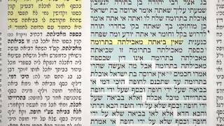 מסכת קידושין דף י' 10