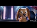 Paw patrol ' That's my girl ' liberty edit 🤩🤩🦋