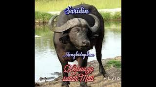 Saridin Menghidupkan Kerbau Yang Sudah Mati @wongagungchannel7103#ketoprak #dagelan #budaya