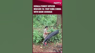 Kerala News | Kerala Woman Forest Officer Rescues Her First King Cobra In 6 Minutes
