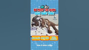 BỨC ẢNH SẼ TIẾT LỘ BỊ MẬT VỀ BẠN | 😨 (Bạn Biết Không) #facts #amazingfacts #thaukinhtrithuc