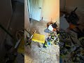 Asi va quedando el cuarto paso a paso lo llevamos