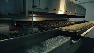 Sveba Dahlen Electric Tunnel Oven For Industrial Baking