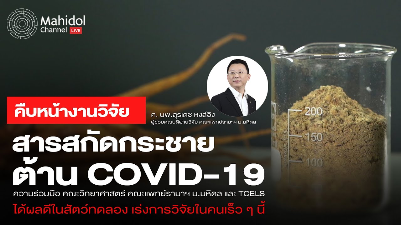 คืบหน้างานวิจัย "สารสกัดกระชาย ต้าน COVID-19" | Mahidol Channel