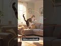 GATO TAMBÉM PULA CORDA