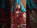 #hashtag # Joy maa tara shorts videos 🌺🙏