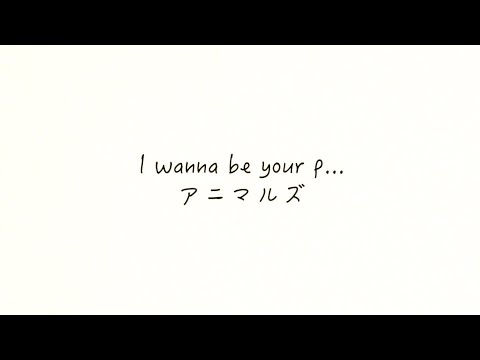 アニマルズ「I wanna be your p...」リリックビデオ