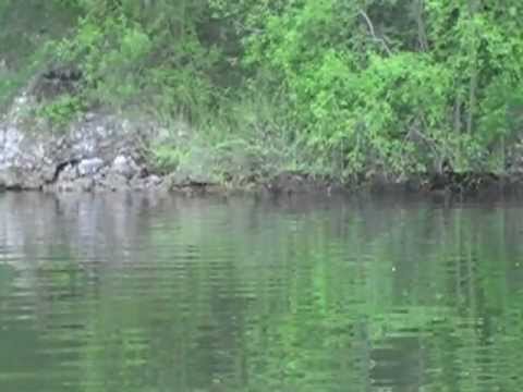 Лодочный мотор из бензокосы