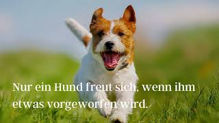 13 Lustige Status Sprüche für deinen WhatsApp Status