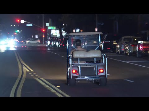 Man with a dog leads police in pursuit in a golf cart