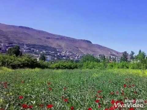 الأسطورة يوسف حسون مدح الزبداني وضواحيها بسرغايا خواطرنا نسرها