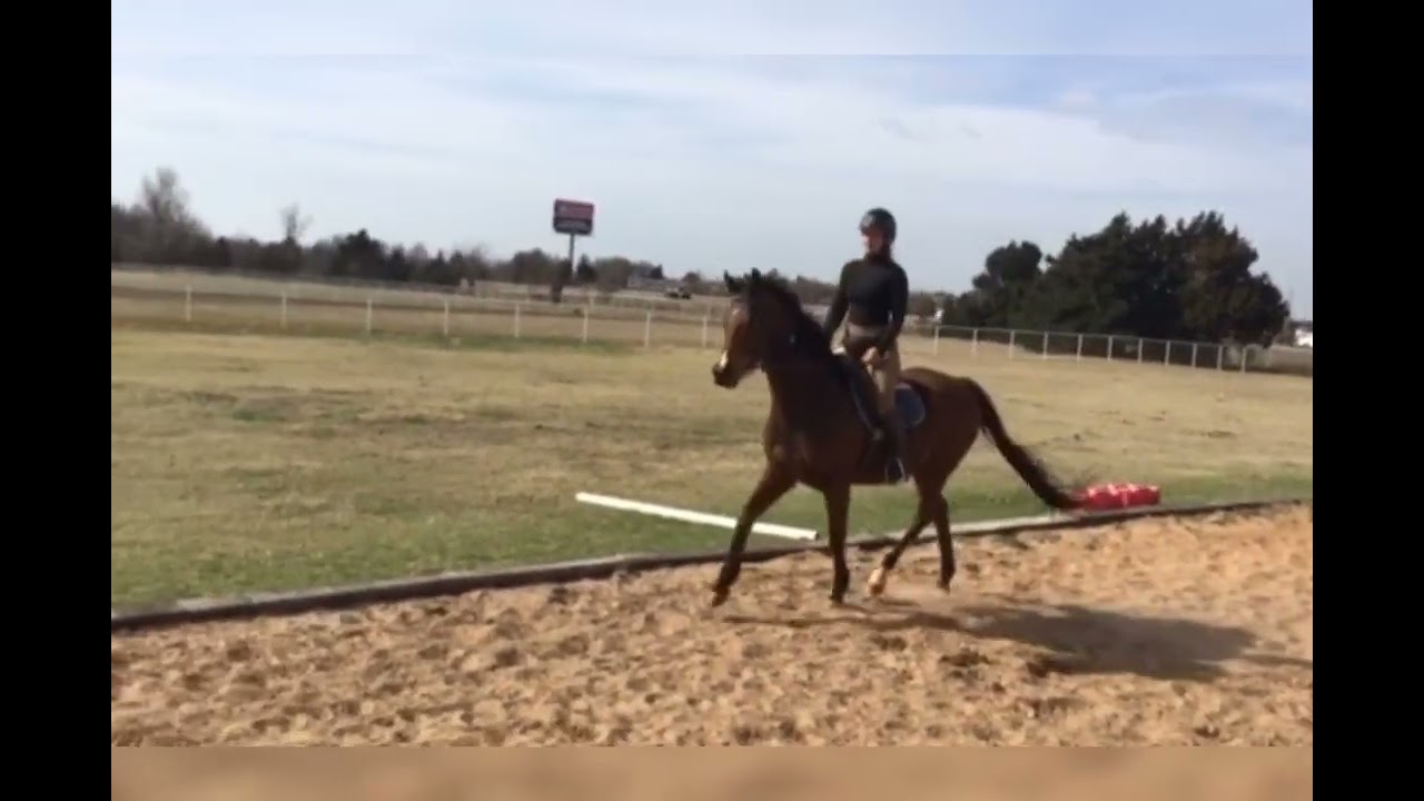 Ramblin Fever - arena ride 3/3/26