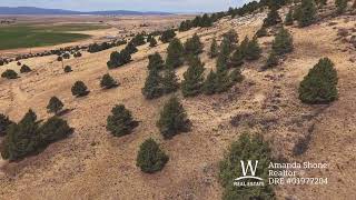 New Listing! New Listing!