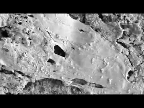 Révélations Scientifiques sur la Vie Extraterrestres.