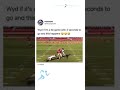 I would delete madden 😭