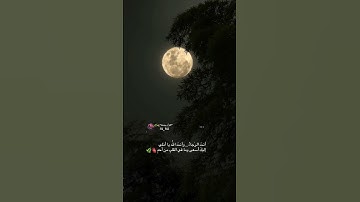قرآن كريم بصوت الشيخ رعد الكردي حالات واتس اب راحه وهدوء وانستقرام 🌿🫀