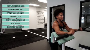 Curl - Scott - EZ Bar - Medium Grip - Semi-Pronated | KILO Exercise Demo