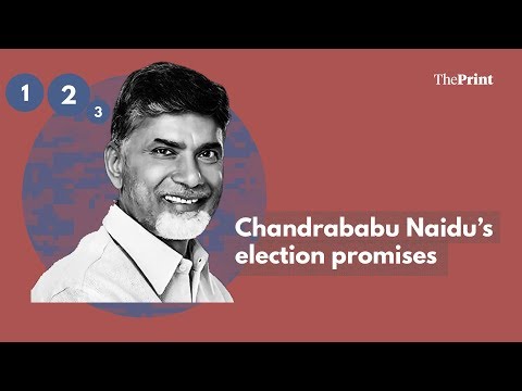 Chandrababu Naidu promised a lot in 2014. Here's what people think about his performance so far.