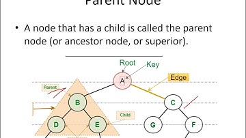 2 pu chapter 4 - Part 4 - Data structures computer science video class