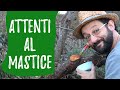 Come disinfettare i tagli di POTATURA