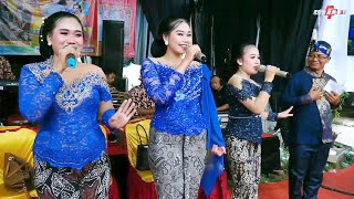 Download Lagu SRAGENAN NINGGAL KATRESNAN - SAMBUNG WANCI NDALU - LALI JANJINE | CAMPURSARI KWSJ COKEK MANIA MP3 Download Lagu SRAGENAN NINGGAL KATRESNAN - SAMBUNG WANCI NDALU - LALI JANJINE | CAMPURSARI KWSJ COKEK MANIA MP3