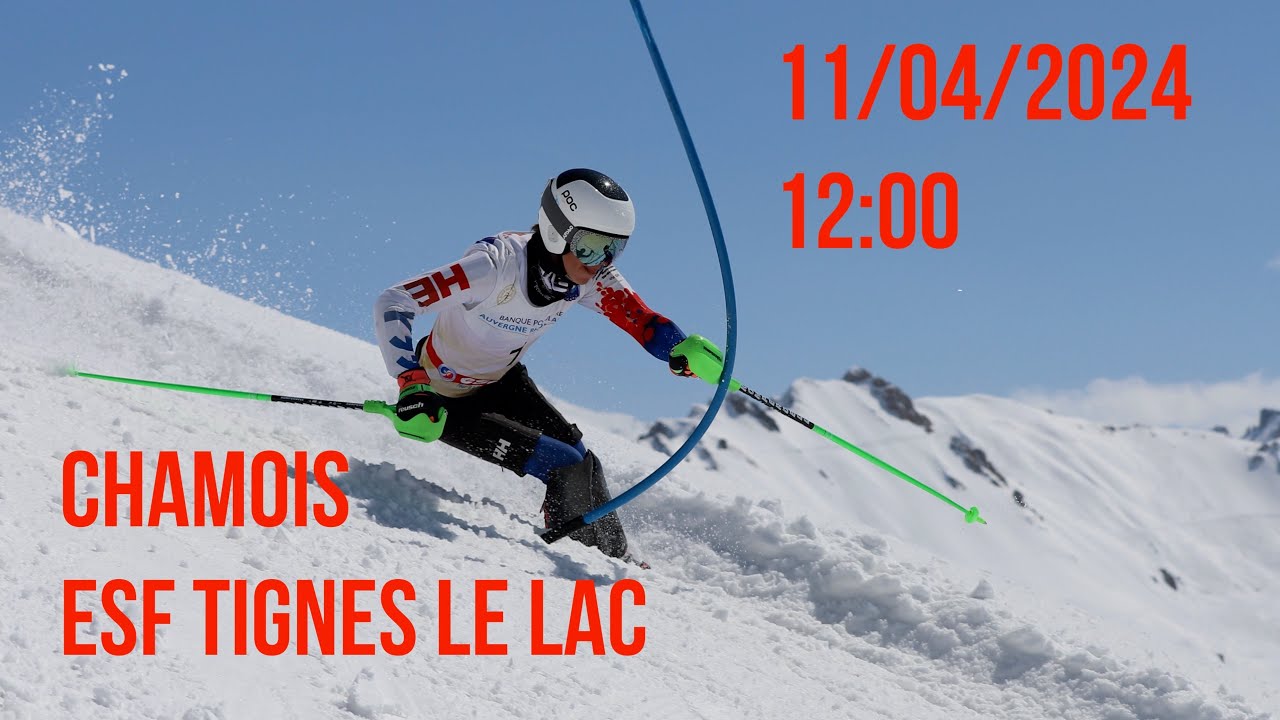 chamois - 11/04/2024 - ESF Tignes le Lac - SKI - comité de Paris