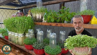 Grow Food Fast, Live Demo