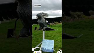 big eagle on Google Earth#shorts#maps
