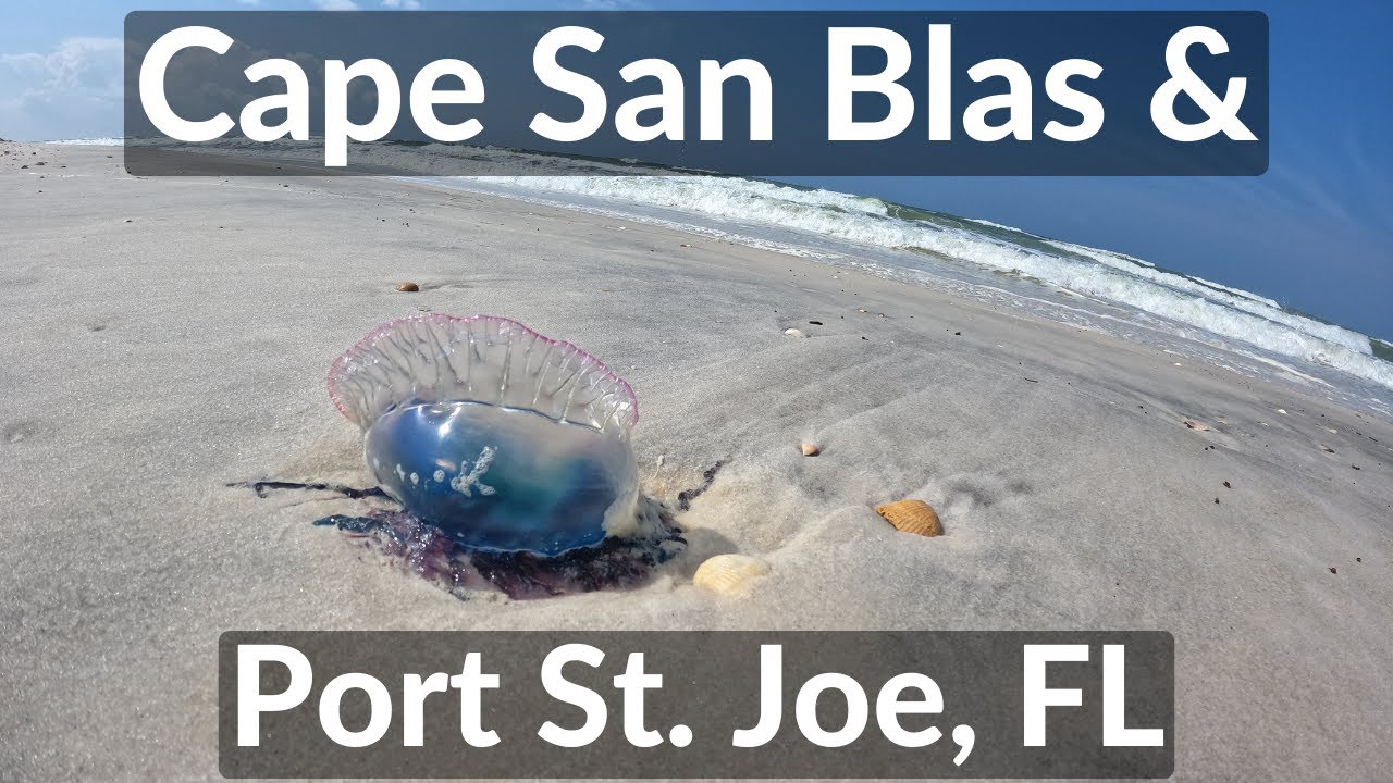 Revisiting Cape San Blas and Port St. Joe Florida (After 15 Years)
