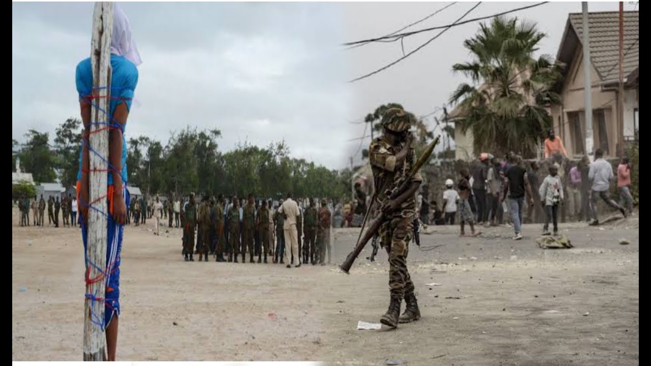 🛑DIRECT SITE D'EXÉCUTION UN GD KULUNA C0NF€SSE SES MÉFAIT DEFI MUTAMBA&FATSHI PROCÈ KISENSO EYINDI 🔥