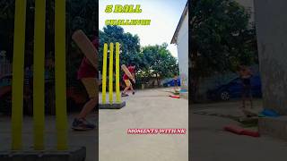 5 BALL CHALLENGE @nirajk1992vlog #dailyvideo #dailyvlog #cricketlover #cricketshorts#minivlog