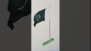 Download Lagu lovePakistan#song#lovepakistan#malik#coversong MP3