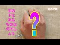 手の下にあるものは何でしょう
