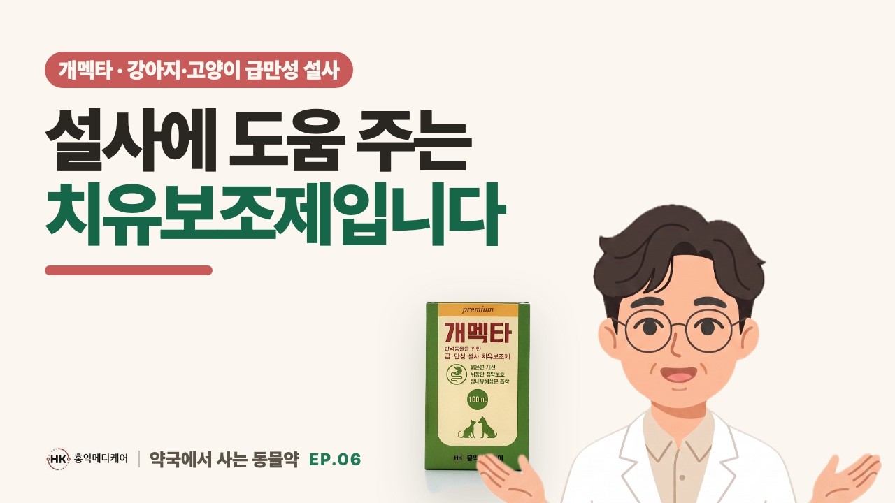 강아지 고양이 설사보조제 개멕타 소개합니다.