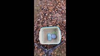 💘Live Stream 💘 2026-08-22 22:29:44