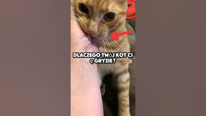 Dlaczego Twój kot Cię gryzie?😾🐾