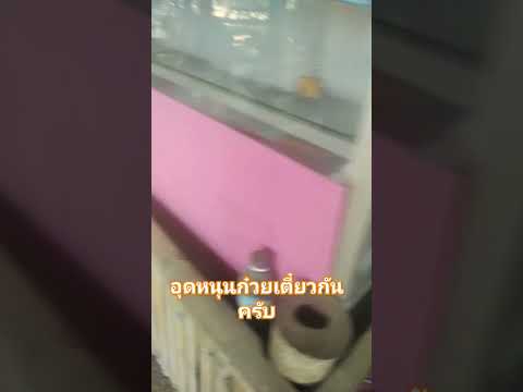 อุดหนุนก๋วยเตี๋ยวกันครับ