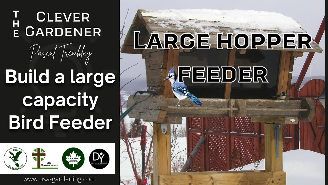 HOPPER BIRD FEEDER | HOW TO BUILD A LARGE CAPACITY BIRD FEEDER